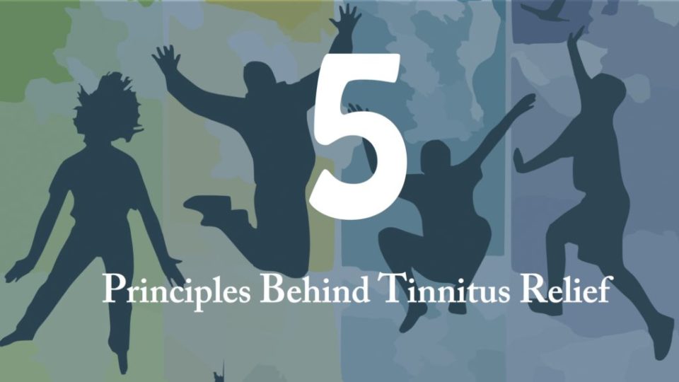 Principles behind Tinnitus relief